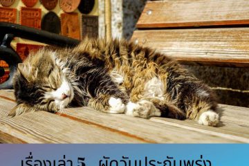 เรื่องเล่า 5 ผัดวันประกันพรุ่ง