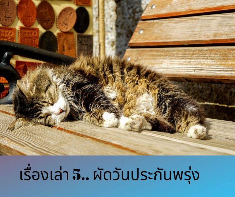 เรื่องเล่า 5 ผัดวันประกันพรุ่ง