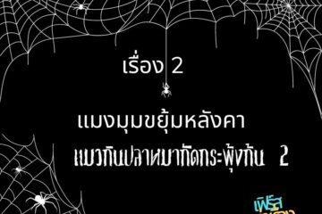 แมงมุมขยุ้มหลังคา แมวกินปลา หมากัดกระพุ้งก้น 2 (หลังเรียน ) 2 แมงมุมขยุ้มหลังคา แมวกินปลา หมากัดกระพุ้งก้น 2